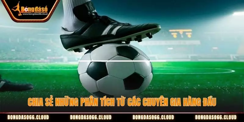 Bongdaso66 - Hình 1